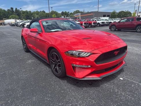 Certified 2019 Ford Mustang Premium RWD image 3