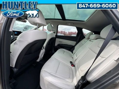 Used 2025 Hyundai Tucson Limited AWD/4WD image 15