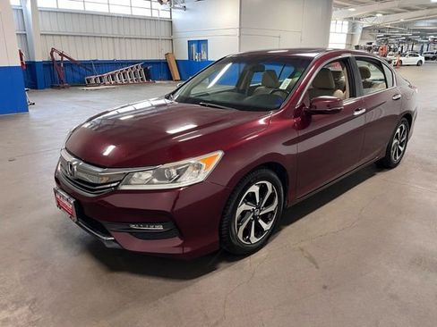 Used 2016 Honda Accord EX-L image 5