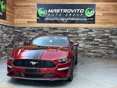 Used 2019 Ford Mustang Convertible w/ Equipment Group 101A RWD image 28