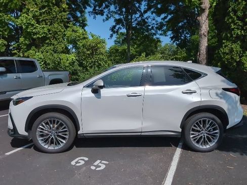 Used 2025 Lexus NX 350h AWD w/ Cold Area Package image 8