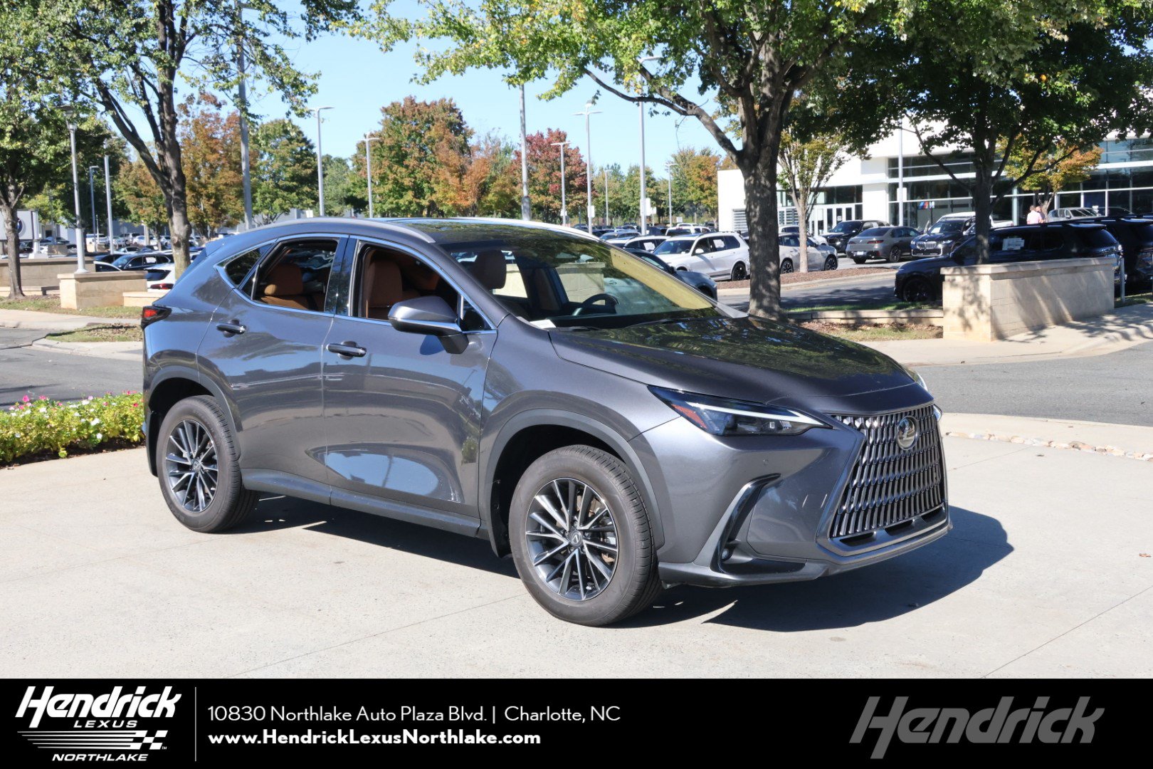 Certified 2024 Lexus NX 250 FWD image 1