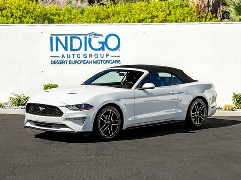 Used 2019 Ford Mustang Premium RWD image 1
