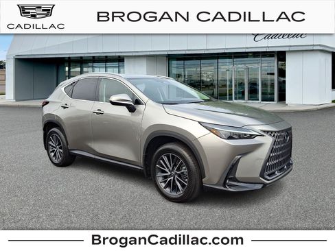 Used 2024 Lexus NX 350 AWD w/ Cold Area Package image 1