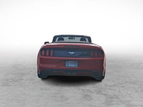 Used 2017 Ford Mustang Premium RWD image 5