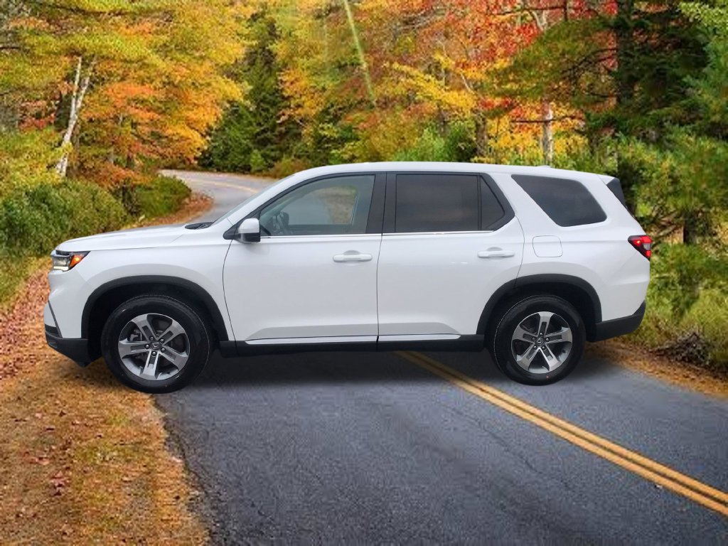 Certified 2025 Honda Pilot EX-L image 6