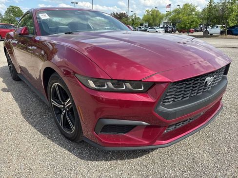 Used 2025 Ford Mustang Coupe RWD image 12
