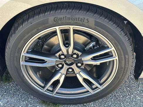 New 2025 Ford Mustang Coupe w/ Wheel & Stripe Package image 8