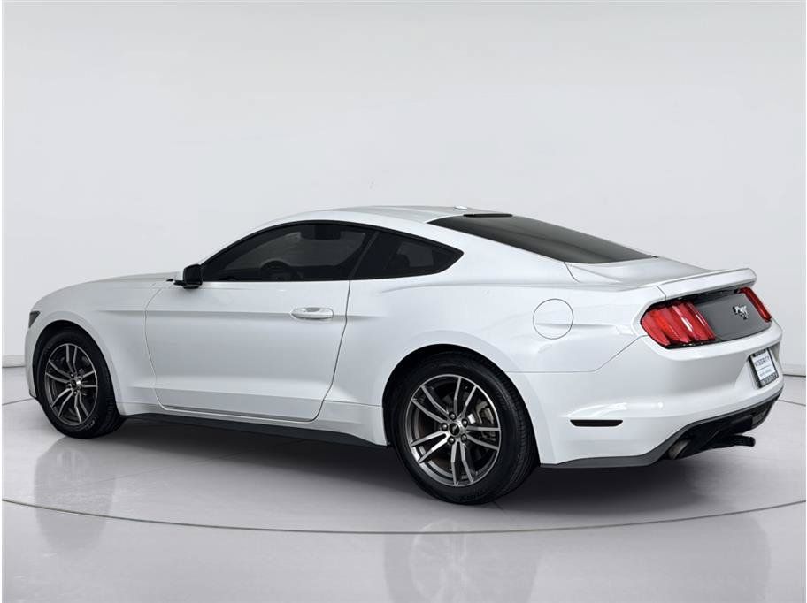 Used 2016 Ford Mustang Premium w/ Equipment Group 201A RWD image 3