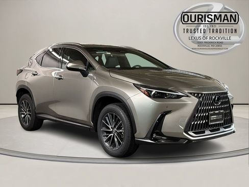 Certified 2024 Lexus NX 350h AWD w/ Cold Area Package image 1