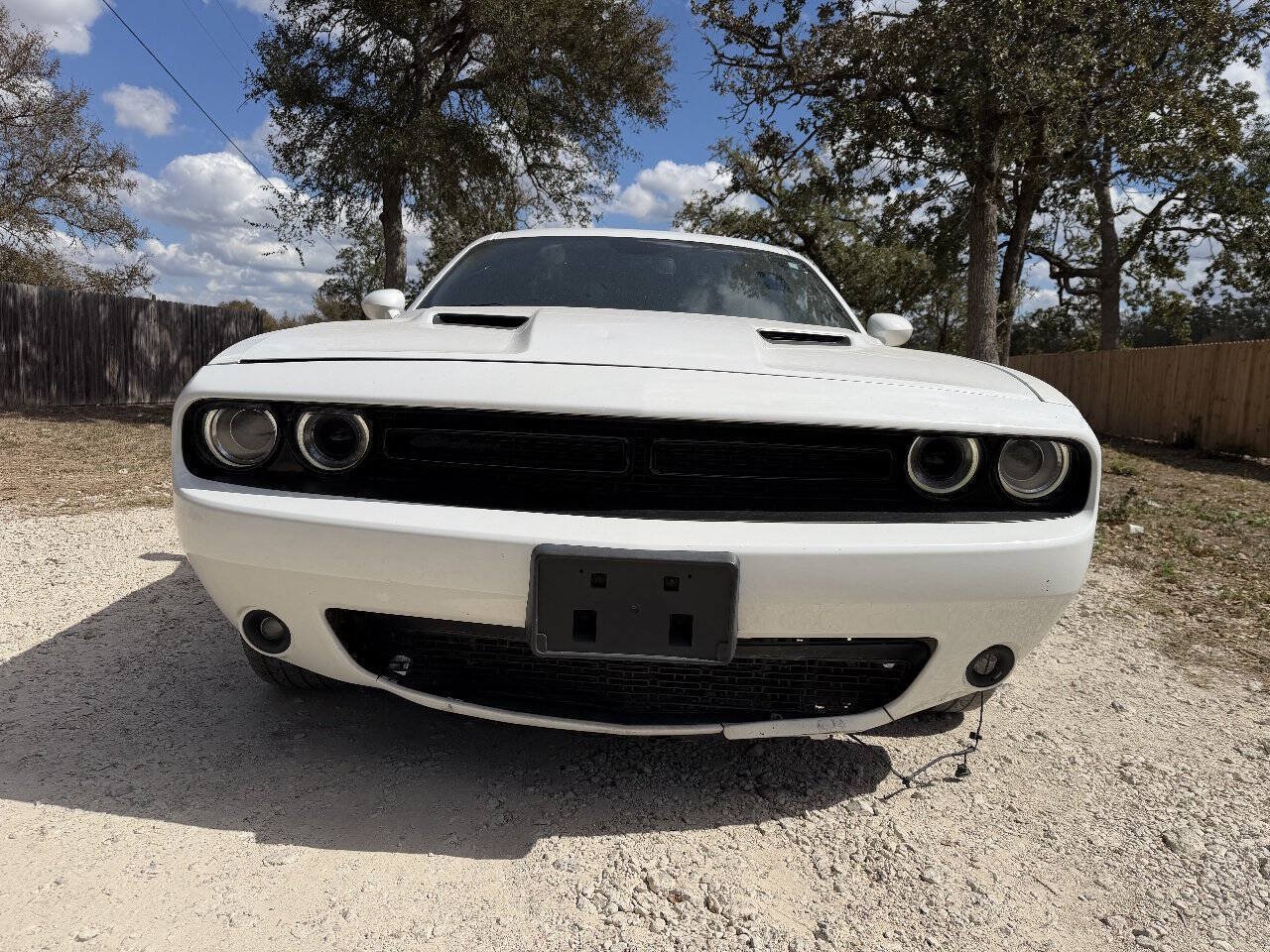 Used 2020 Dodge Challenger SXT w/ Blacktop Package RWD image 3