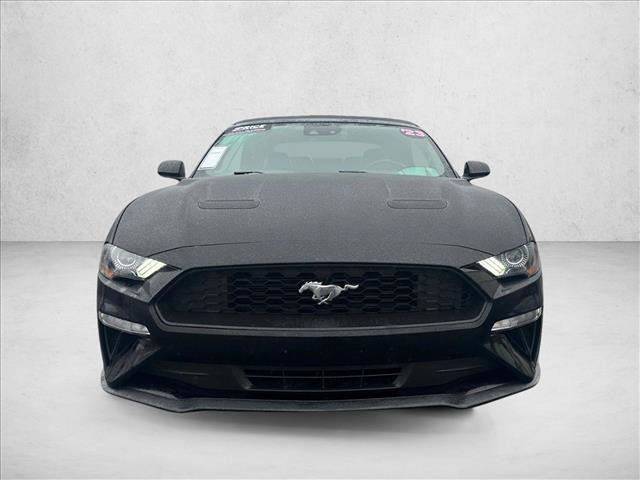 Used 2023 Ford Mustang Premium RWD image 2