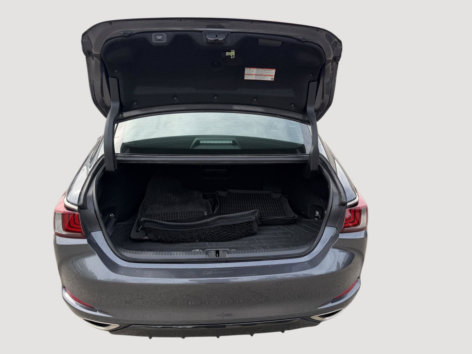 Used 2023 Lexus ES 350 F Sport w/ Accessory Package (Z2) FWD image 9
