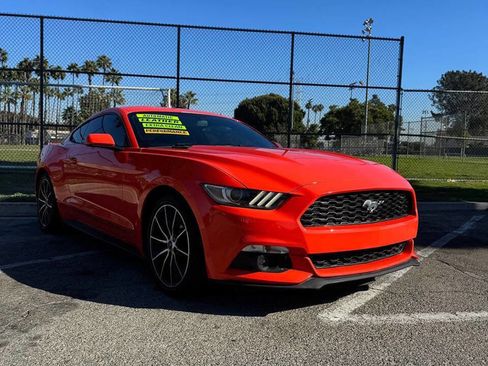 Used 2015 Ford Mustang Coupe w/ Wheel & Stripe Package image 5