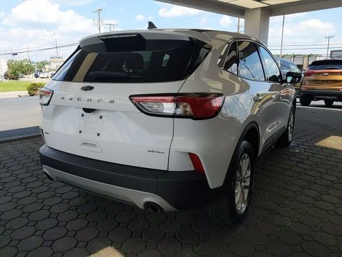 Used 2022 Ford Escape SE w/ Cold Weather Package AWD/4WD image 4