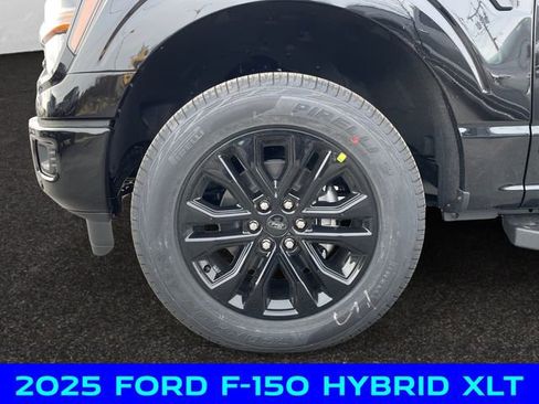 New 2025 Ford F150 XLT w/ Equipment Group 302A MID image 14