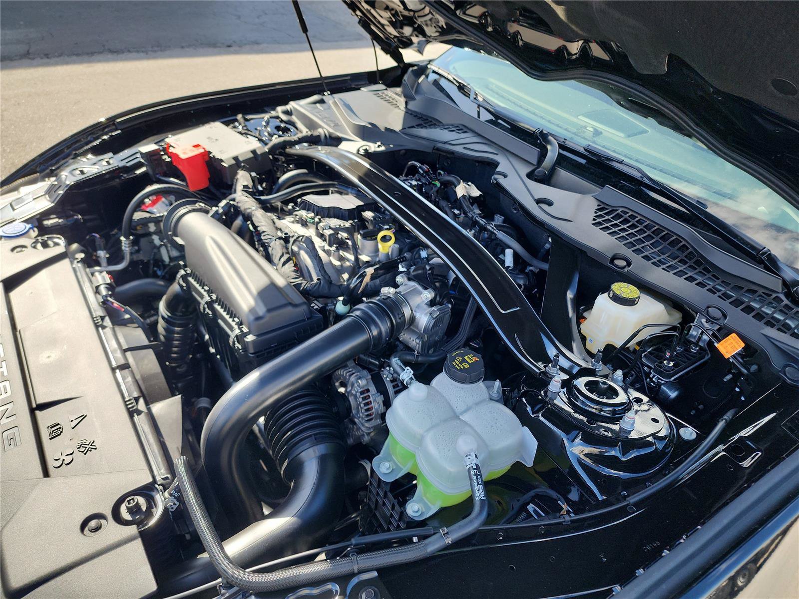 New 2026 Ford Mustang Convertible w/ Mustang Nite Pony Package RWD image 14