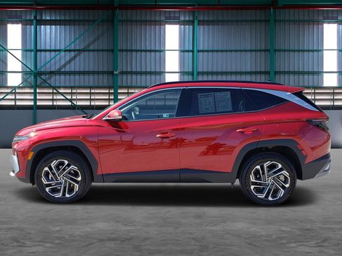 Used 2025 Hyundai Tucson Limited image 2