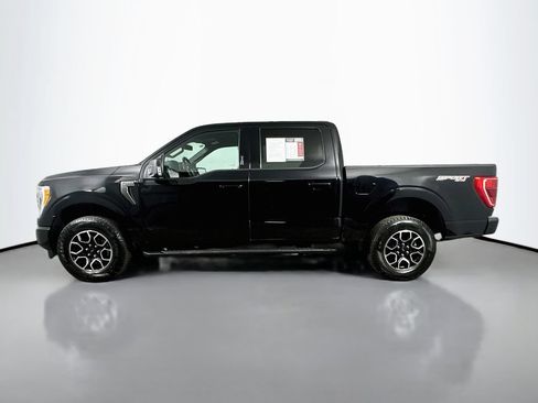 Used 2023 Ford F150 XLT w/ Equipment Group 302A High AWD/4WD image 5
