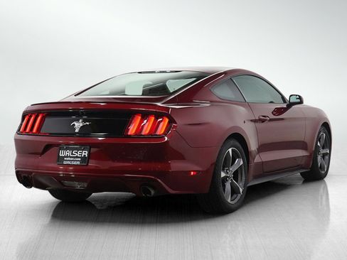 Used 2015 Ford Mustang Coupe w/ Equipment Group 051A image 5