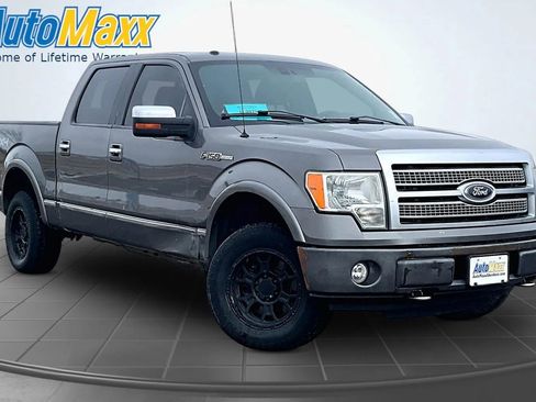 Used 2010 Ford F150 Platinum AWD/4WD image 5