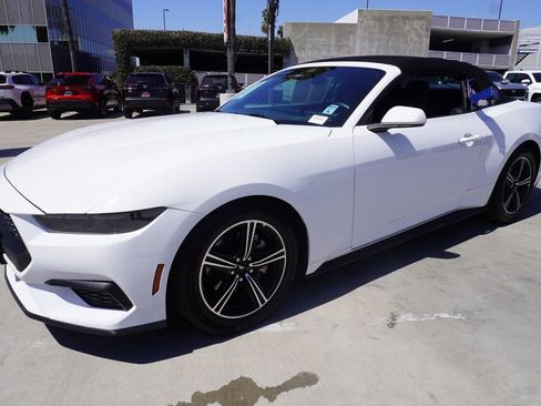 Used 2025 Ford Mustang Convertible RWD image 4