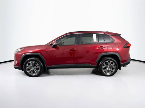 Certified 2025 Toyota RAV4 XLE Premium w/ Weather Package image 14