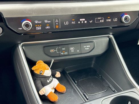 New 2025 Kia Carnival SX Prestige image 24