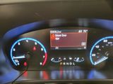 Used 2021 Ford Bronco Sport Big Bend image 2