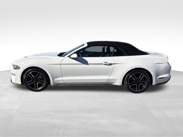 Used 2022 Ford Mustang Premium RWD image 12