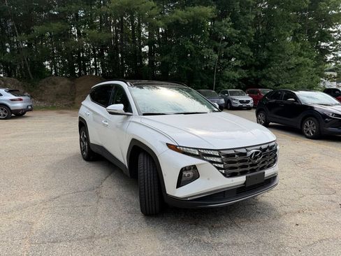 Used 2023 Hyundai Tucson Limited AWD/4WD image 4