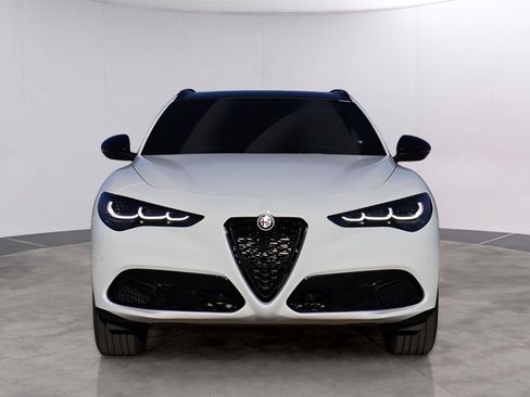New 2025 Alfa Romeo Stelvio Sprint image 2
