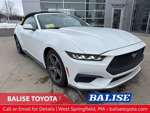 Used 2024 Ford Mustang Premium image 1