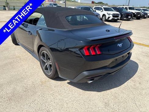 Used 2024 Ford Mustang Premium RWD image 6