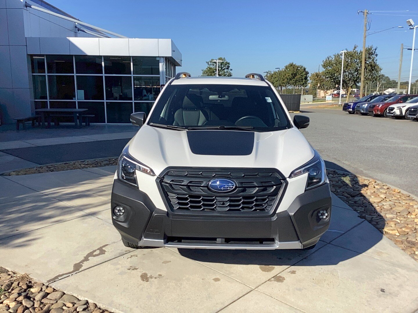 Used 2022 Subaru Forester Wilderness AWD/4WD image 2