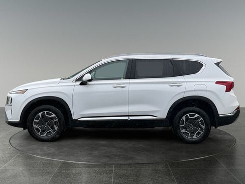 Used 2023 Hyundai Santa Fe Blue AWD/4WD image 5