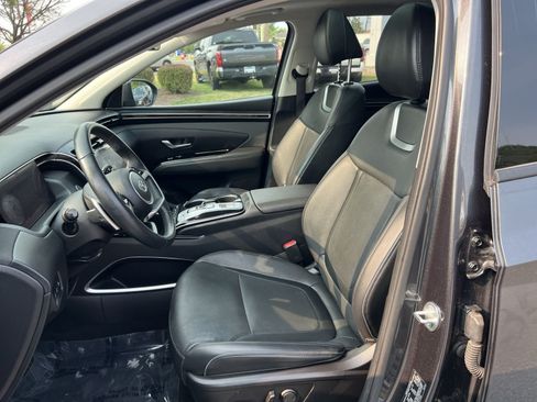 Used 2023 Hyundai Tucson Limited AWD/4WD image 13