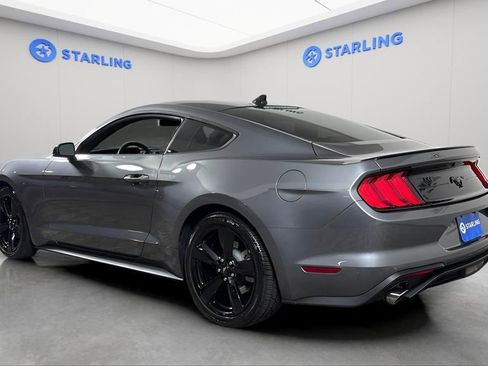 Used 2023 Ford Mustang Premium w/ Mustang Nite Pony Package image 5