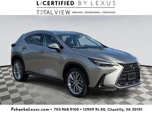Used 2023 Lexus NX 350 AWD w/ Cold Area Package image 1