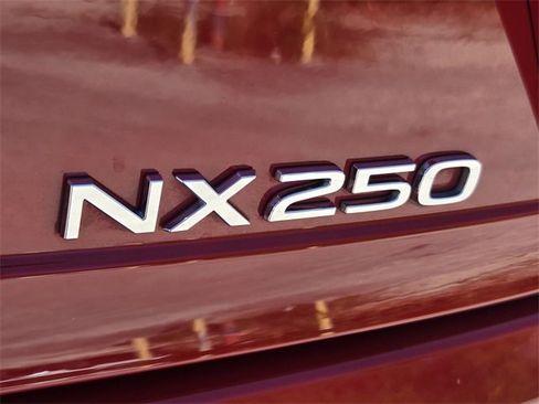 Used 2025 Lexus NX 250 FWD w/ Accessory Package (Z1) image 14