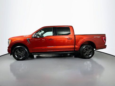 Used 2023 Ford F150 XLT w/ Equipment Group 302A High AWD/4WD image 4