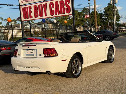 Used 1999 Ford Mustang Cobra RWD image 9