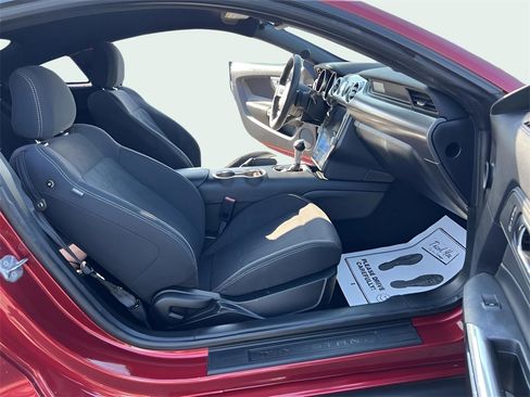 Used 2019 Ford Mustang Coupe w/ Ecoboost Performance Package image 12