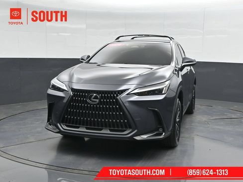 Used 2024 Lexus NX 350h AWD w/ Cold Area Package image 5