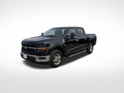 Used 2025 Ford F150 XLT w/ Equipment Group 302A MID