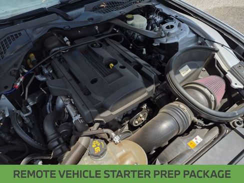 Used 2017 Ford Mustang Premium w/ Equipment Group 201A RWD image 13