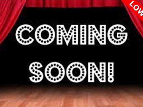 Used 2013 Subaru Impreza WRX Limited image 2