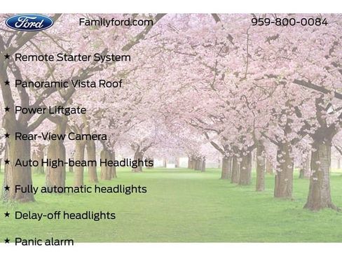 New 2025 Ford Escape ST-Line w/ Tech Pack #1 image 30