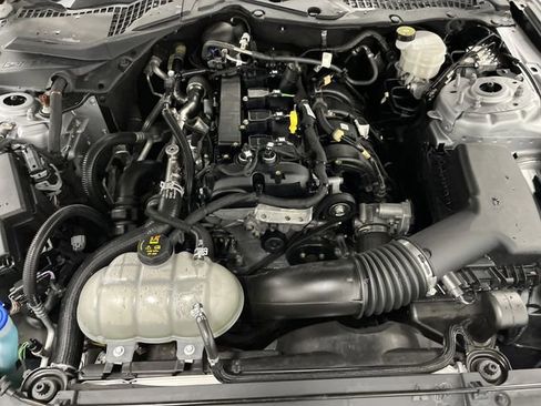 Used 2022 Ford Mustang Coupe w/ Equipment Group 101A image 33