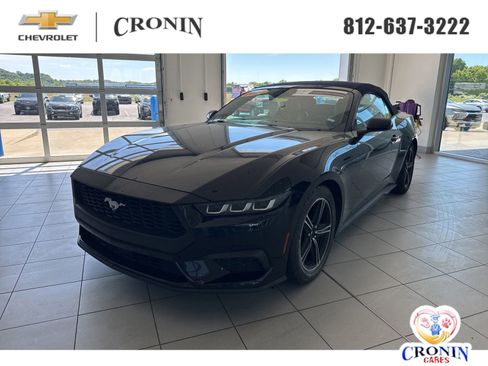 Used 2024 Ford Mustang Premium RWD image 1